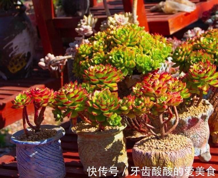 踩坑|别人的踩坑经历,了解了解帮你准确避开雷区