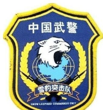雪豹突击队臂章什么样子 为何以 雪豹 命名 还有哪些突击队 快资讯