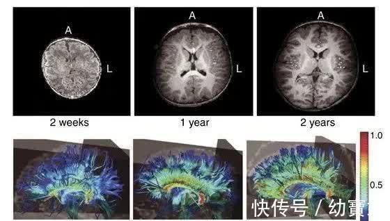 霍思燕|原来孩子的最佳入园年龄不是3岁，而是这个年龄！（家有小孩必看）