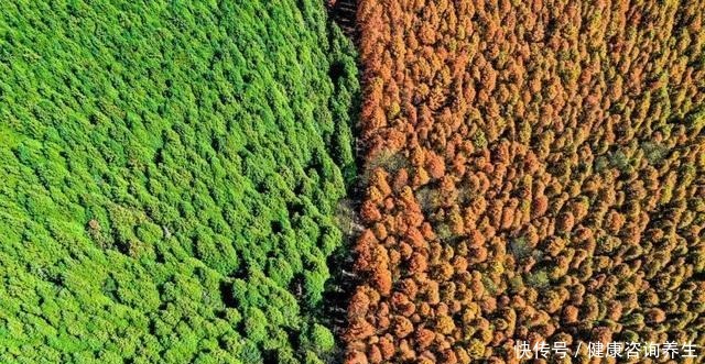 金秋时节，这些最佳旅行地，你去过吗