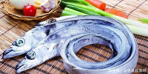 五种鱼都不能养,碰上就买吧!饮食过量对健康有益