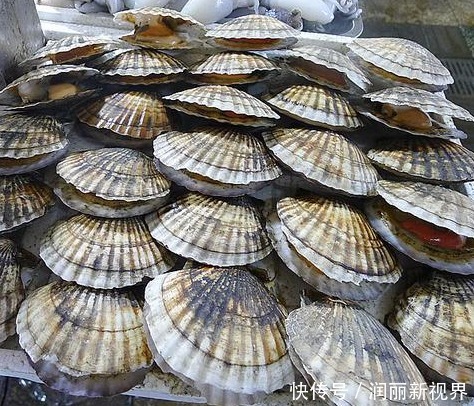 讲究|吃海鲜也要讲究“时令”,老渔民不会告诉你的海鲜日历,请收好!