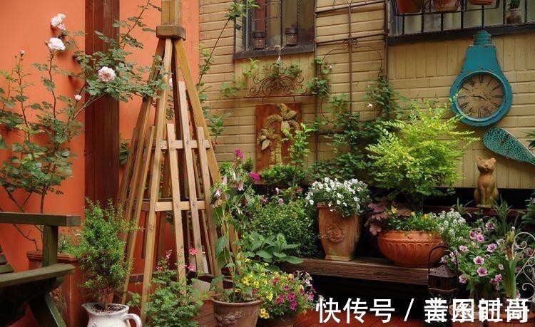 花园|荒废多年的80㎡小院,2年半时间打造成下沉式花园,太漂亮了!