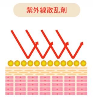 敏感肌到底应该怎么挑防晒？