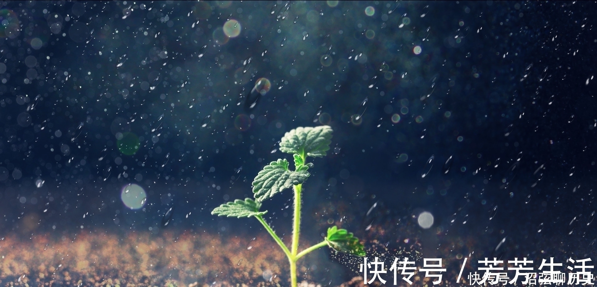 管仲&杜甫的一首七言诗,第三句却有8个字,留下一成语人尽皆知