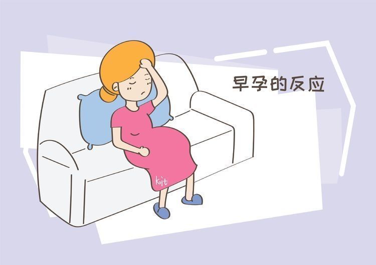 女孩|怀孕后这些反应,说明你“中招”了,只要是女孩就要了解的常识