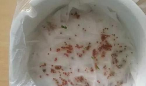 发芽|此2种果核扔盆里,10天发芽,2月长成盆栽,来年硕果累累