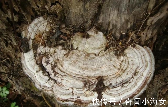 我们每天都在吃的东西,竟然是被国家列入第一致癌清单!