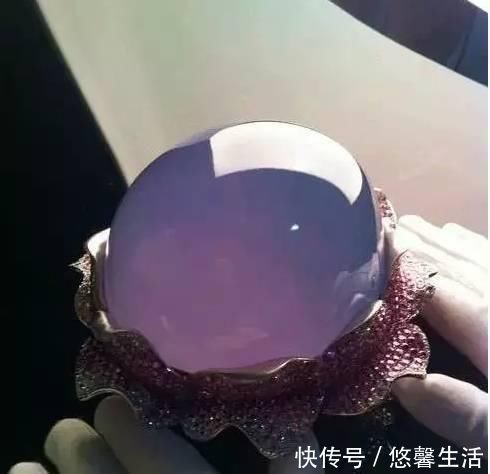 上面青下面紫是什么菜 上面青下面紫是什么菜