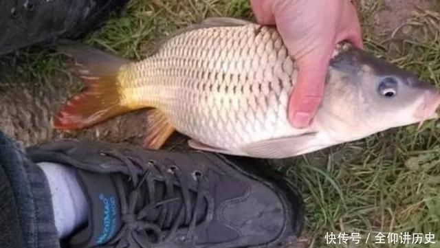 白钓|怪不得老钓手一字不透露,原来热天的鱼都藏在这,白钓二十年鱼