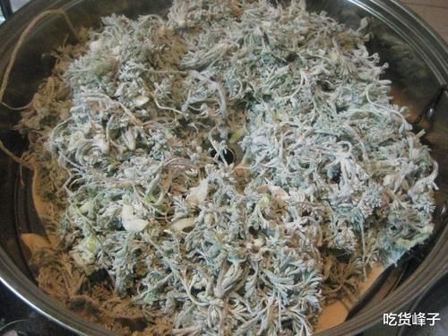 春天到了，因此春天遇到這4菜別錯過，等長大了叫白蒿，營養(yǎng)高味道鮮美