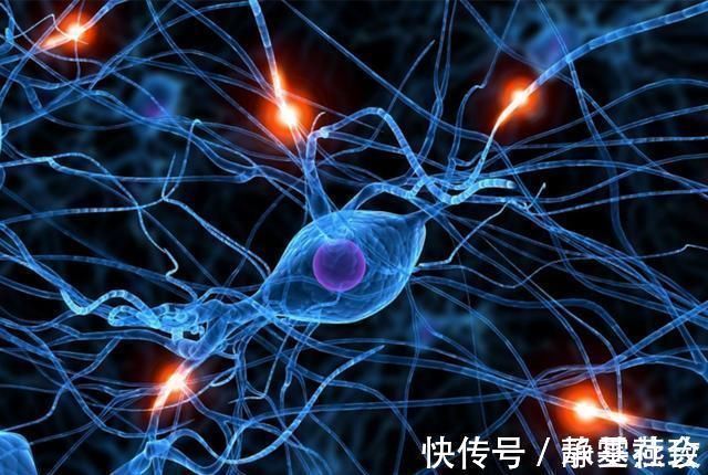 婴儿期|娃的大脑发育高峰期仅有一次,做到这3点,就能拉开孩子间的差距