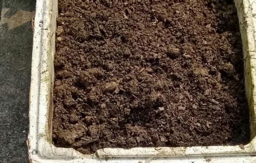 按照“大锅炖、大杂烩”的做法制作营养土，养花不会缺肥