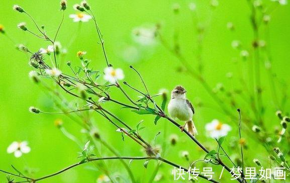 双子座|8月上旬远离灾祸，3星座迎横财大运，好运不断，生活顺顺利利！