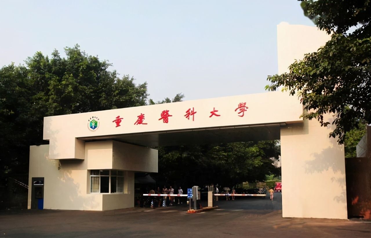 南医大|中国医药类大学“十朵金花”：南医大进入第一阵营，中国药大第八