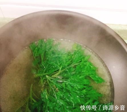 四月多吃這個野草,用它來煎雞蛋,清香甘甜令人回味無窮!