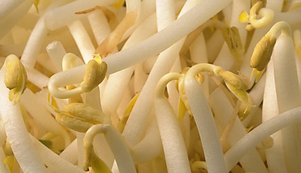 单宁酸|肝喜欢的搭配韭菜养生，搭配了“它”，可养肝明目