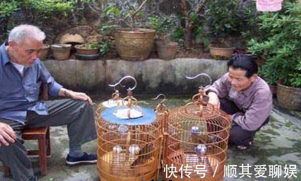 美女|千古绝对! 老汉出上联 美女怕日手遮阴;美女的下联太经典了!