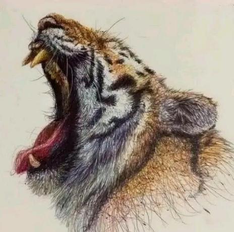 专业课$美术生“作品”走红,第一眼看过去很丑,放大10倍后老师也佩服