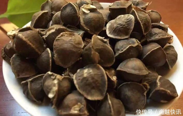辣木籽|此物是酒精最大天敌,喝酒前偷偷嚼两粒,白酒啤酒“千杯不醉”