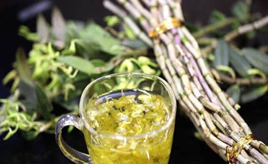 中药|价值连城!50种中药养生茶大全!你想要的都在这里!赶紧收藏!