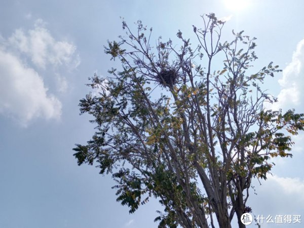 上手|超清影像下的均衡体验，荣耀Play5T Pro上手