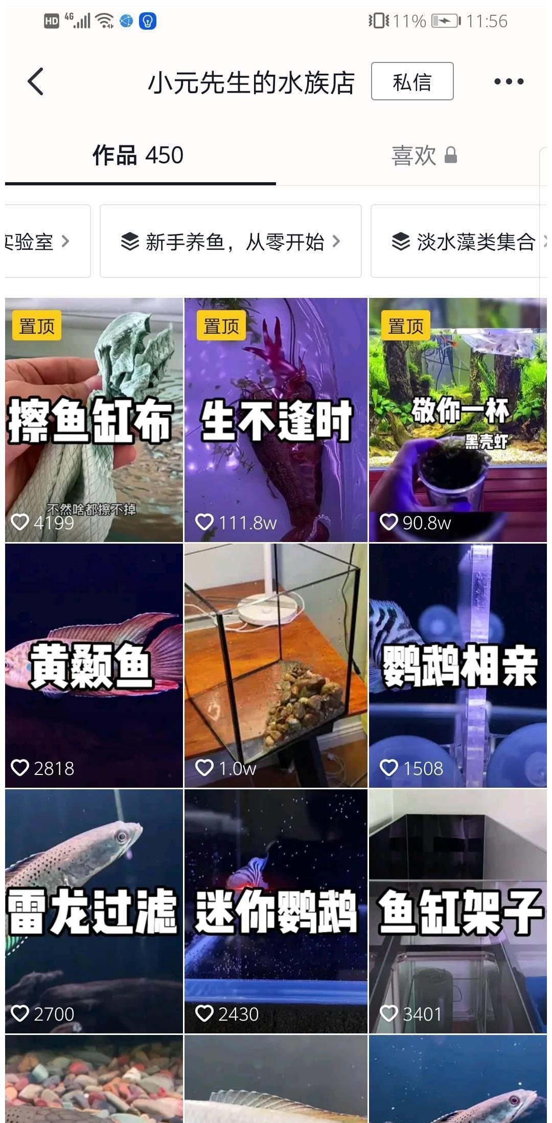 广州市消委会|“观赏鱼”50亿次播放,“孤独经济”让“95后”更爱养鱼?