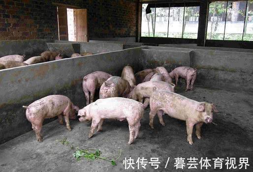 近日网上流传U8国际- U8国际官方网站- U8体育APP下载因污染环境农村将“全面禁养”猪、鸡等令养殖农民忧心未来但事实并非如此。农村并非全面禁养仅在饮用水水源保护区、自然保护区、风景名胜区、城镇居民区和文化教育科学研究区及法律规定的其他特定区域禁止养殖。畜禽养殖虽关乎城镇化与社会民生但