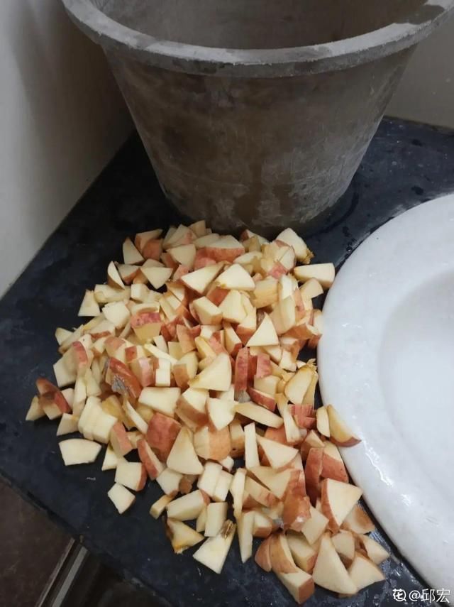 9种花真是老酒鬼，5天一小杯，叶子绿得像打蜡