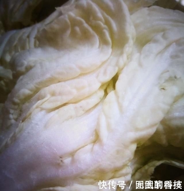 菇盖|它是肠道“通便器”,隔三差五吃一碗,排除黑臭宿便,抹平大肚腩