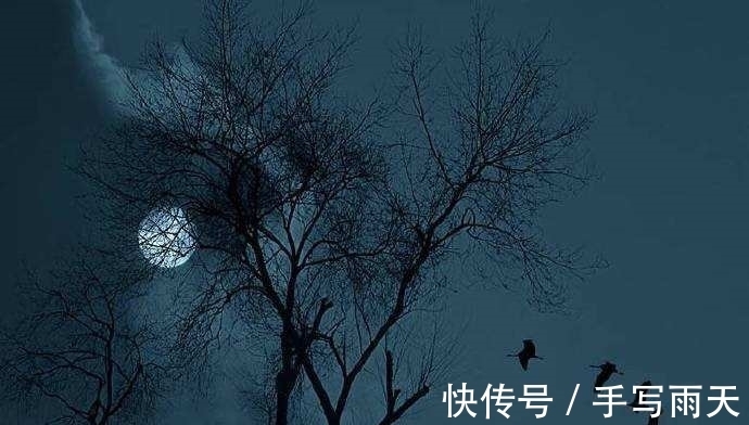 绝句!落选《唐诗三百首》最著名的20首诗,清明、赠汪伦、鸟鸣涧在其中