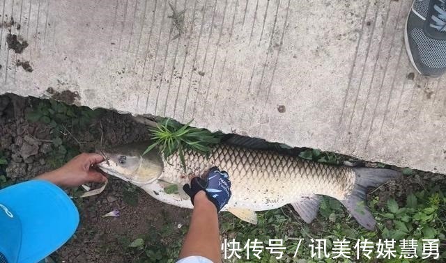 秘诀|玉米钓鱼有秘诀?看别人用就能上钓大鱼,为何你至今一条没钓到