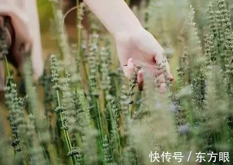 一勺盐，悟人生