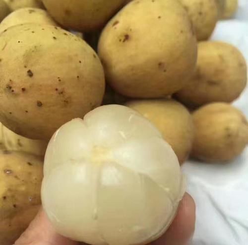 到西双版纳,这些热带水果没吃就白来了