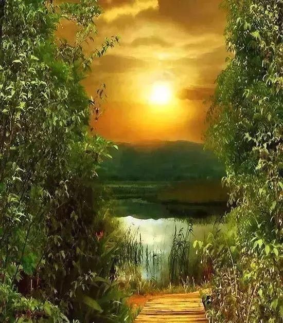 传来|太美了,世界照片今天终于传来,罕见至极,一睹为快