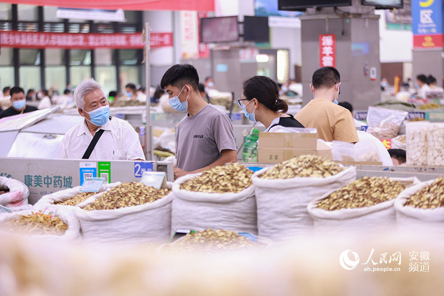 中药|走进国际（亳州）中医药博览会 感受传统文化魅力