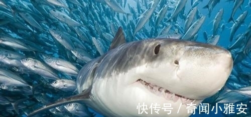 9条趣味冷知识,有趣又好玩,原来腿太细也并不是一件好事