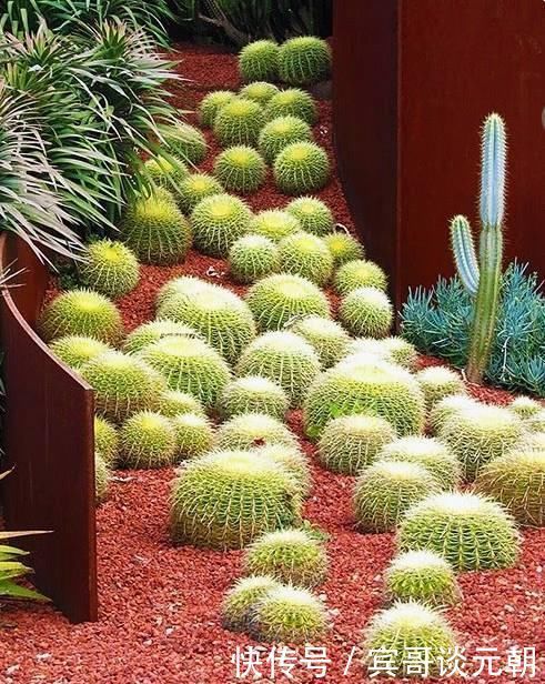 7个绝美花园,个个美炸了天,等有钱了我也要建一个