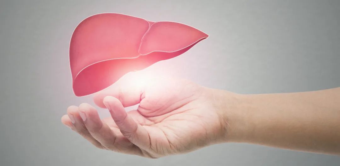 乙肝|“甲乙丙丁戊”五种肝炎“性格迥异”,彻底弄懂乙肝五项指标