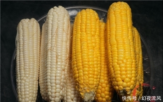 一样是玉米,“白色”和“黄色”有什么区别看完后不要买错了