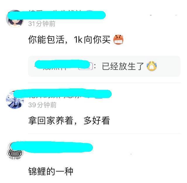 价值上千?深圳钓友钓了条奇鱼,有人出1000想买,钓友:已经放了