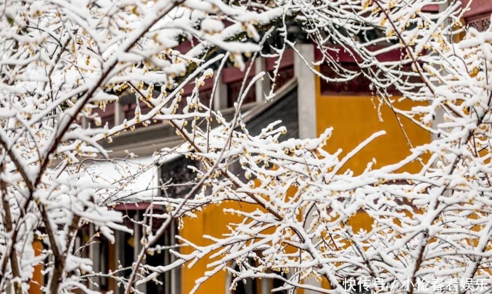 美成|一下雪，杭州就美成了临安