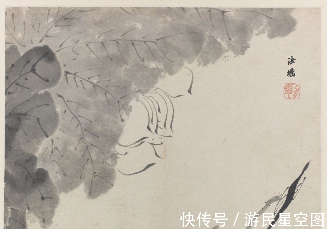 津门&「津门网」见画如见字、见字如见人,看这组清新的荷花您有啥感受