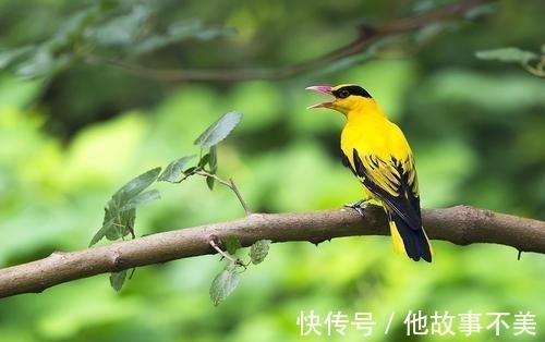 名作#秦观的两首名作，表达哀婉，句句深情，令人不忍卒读