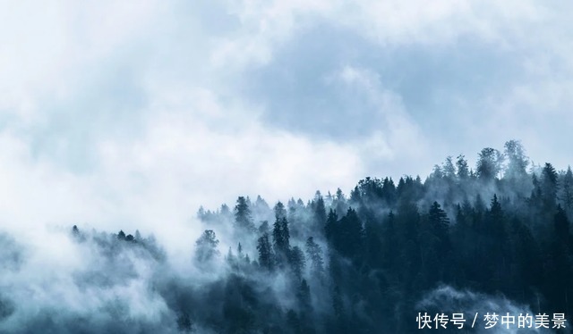 倾城之恋|生命的最高境界!(顿悟)