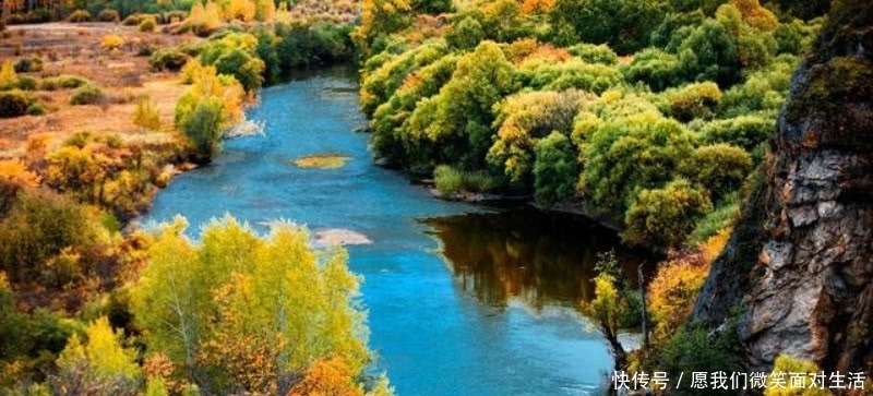 一首不应该忽略的唐诗,通篇描写得极为凄美,写出了诗意的秋天!