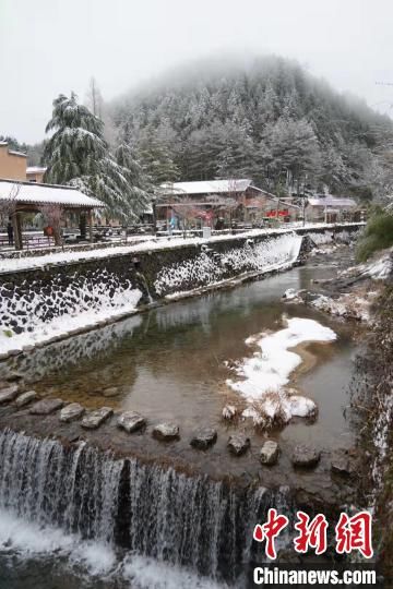 百山祖|浙江百山祖国家公园迎降雪 风景如画