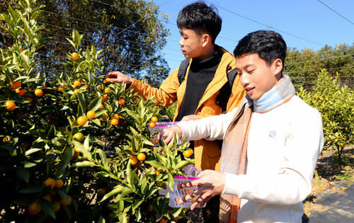 沙坝仔村没坝，但有神农，是城里人向往的村落