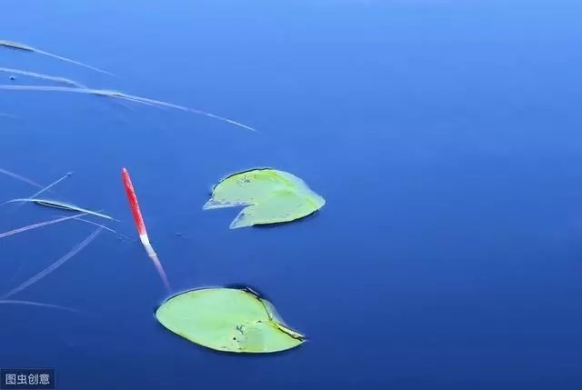 浮漂为什么会有力的“一顿”?钓鱼大师一点就透，终于明白了