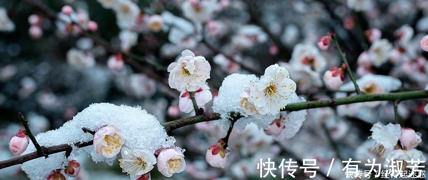 秋千索!晚唐最美艳的一首七绝,一开篇就惊艳世人,全诗更是美地令人心醉